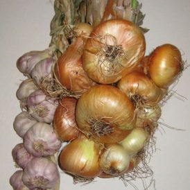 Onion Stringing Image